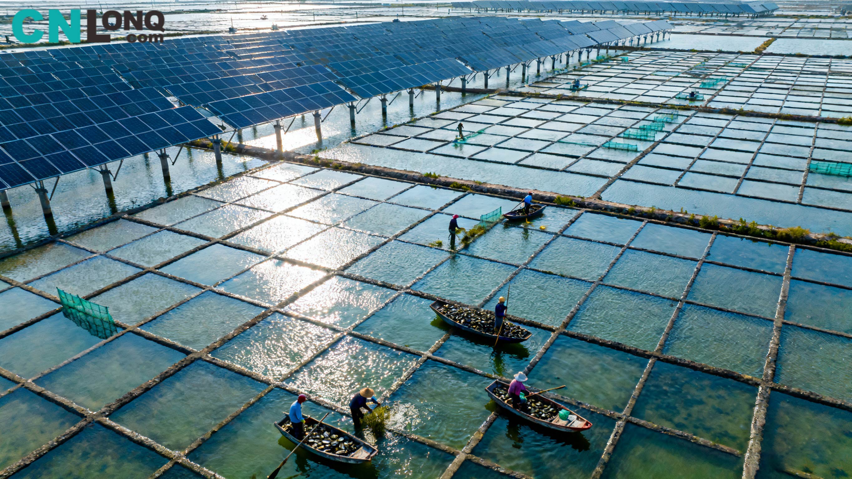 Total investering på 1,2 miljarder RMB! Xindao Qingkou Salt Field 250MW 